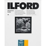 Ilford MGD.1M RC 13x18/25, leskl