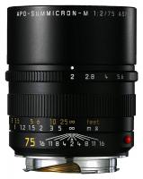 Leica APO-SUMMICRON-M 75mm f/2.0 ASPH, ierny