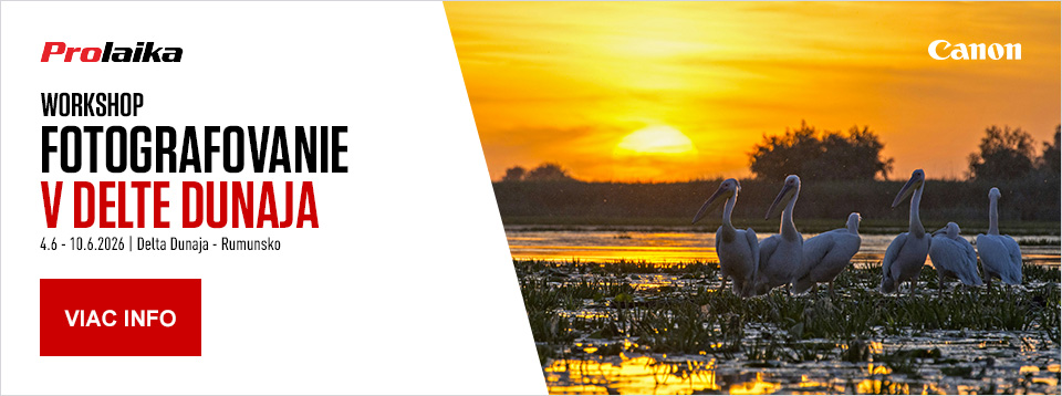 https://www.fotoma.sk/workshopy/workshop-fotografovanie-vtactva-v-delte-dunaja/