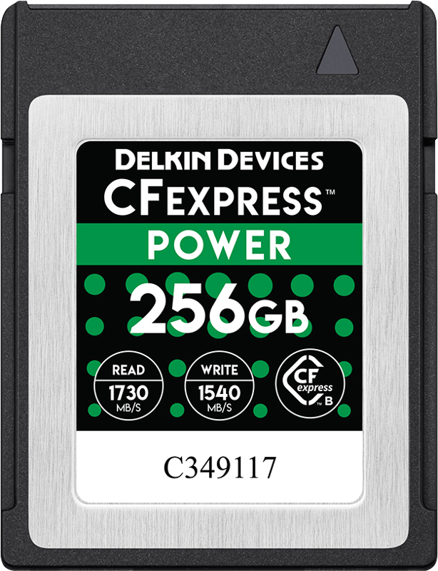 E-shop Delkin CFexpress Typ B Power R1780/W1700 256GB