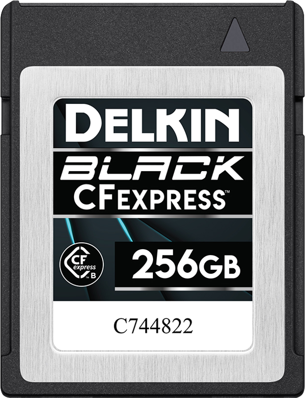 Delkin CFexpress Typ B BLACK R1645/W1400 256GB 