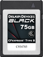 Delkin CFexpress Typ B BLACK R1725/W1240 75GB 