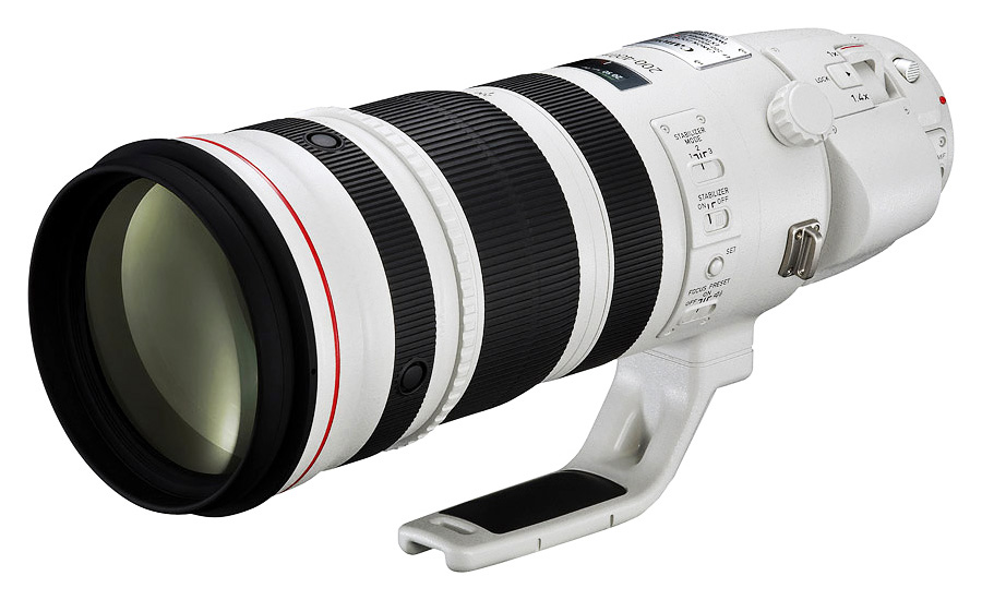 Canon EF 200-400mm f/4L IS USM Extender 1.4x